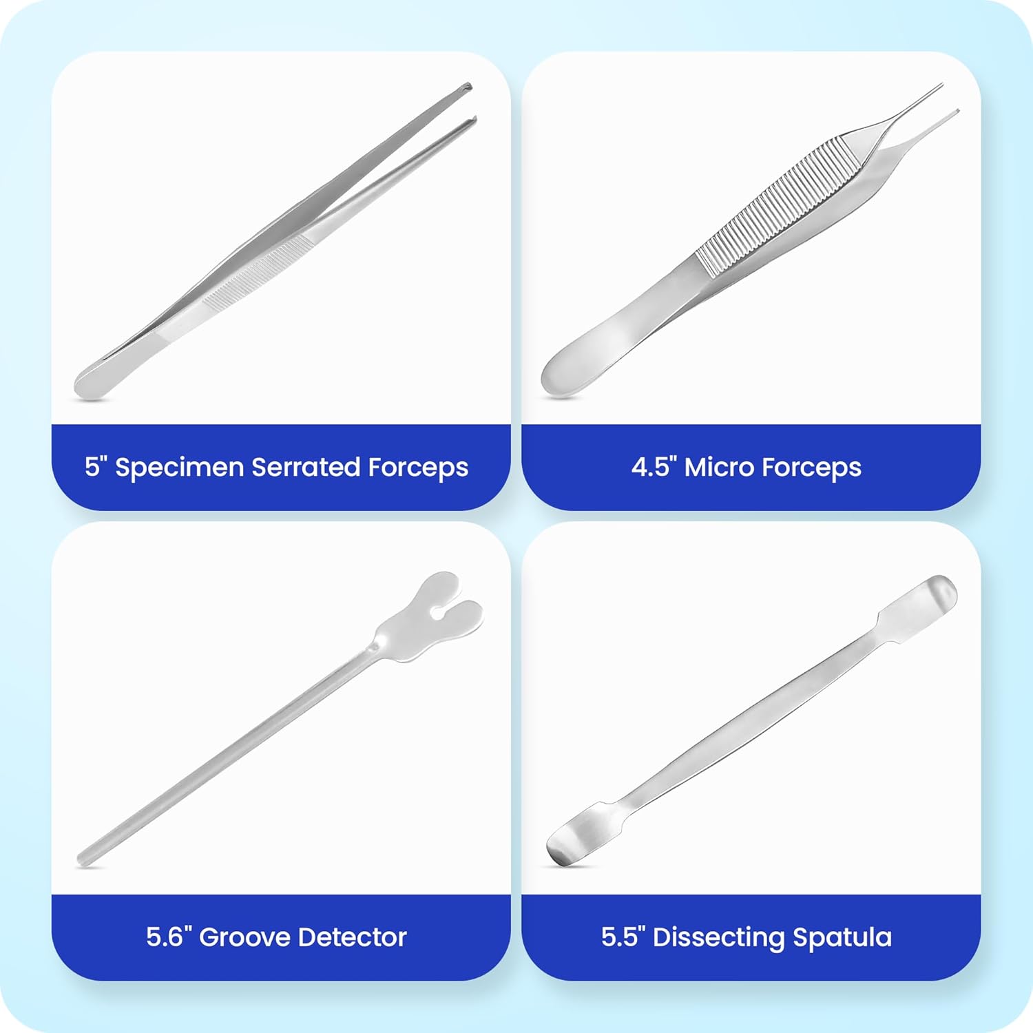 61y14euFZZL._SL1500_