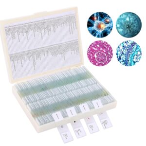 120 Prepared Microscope Slides Set for Biology Education (25mm x 75mm Standard Size)